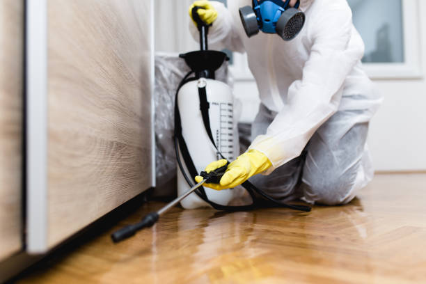 Best Affordable Pest Control Services  in Nicoma Park, OK