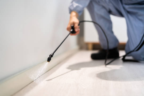 Best Local Pest Control Services  in Nicoma Park, OK