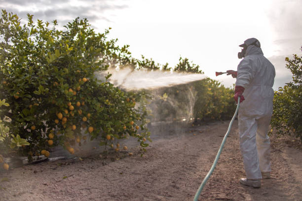 Nicoma Park, OK Pest Control Company