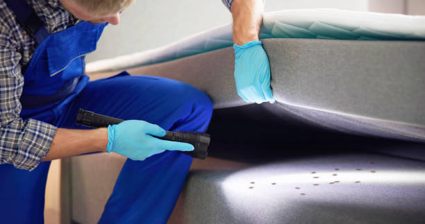 Best Best Pest Control Companies  in Nicoma Park, OK