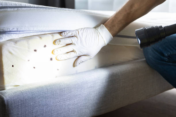 Best Emergency Pest Control  in Nicoma Park, OK