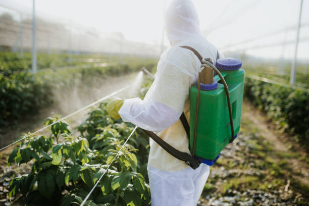 Best Termite Control Services  in Nicoma Park, OK